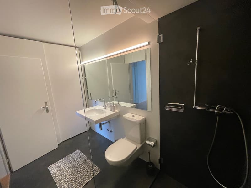 Modern bathroom with white sink, toilet, large mirror, and shower hose. Features dark walls and a patterned rug on the floor.