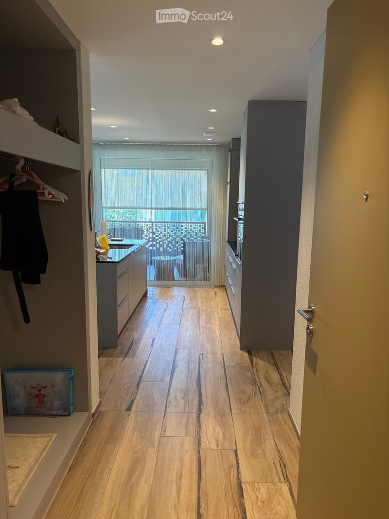 Modern hallway with wooden flooring, built-in shelving, and a view into a kitchen area with dark cabinets and a sink.
