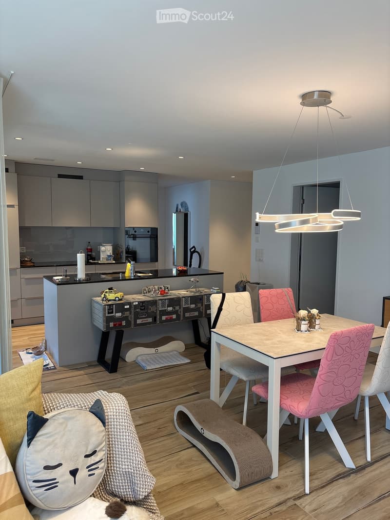 Modern open-plan living and dining area with a white dining table, pink chairs, a cat bed, and a cat cushion. The kitchen area features a black countertop, stainless steel appliances, and a hanging light fixture.