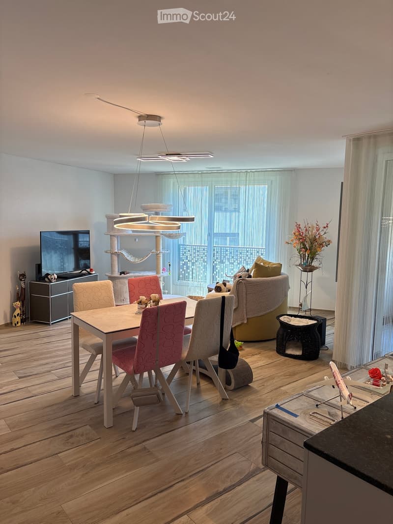 Modern living and dining area with wooden flooring, large windows, a cat tree, a sofa, a dining table with chairs, and decorative items.
