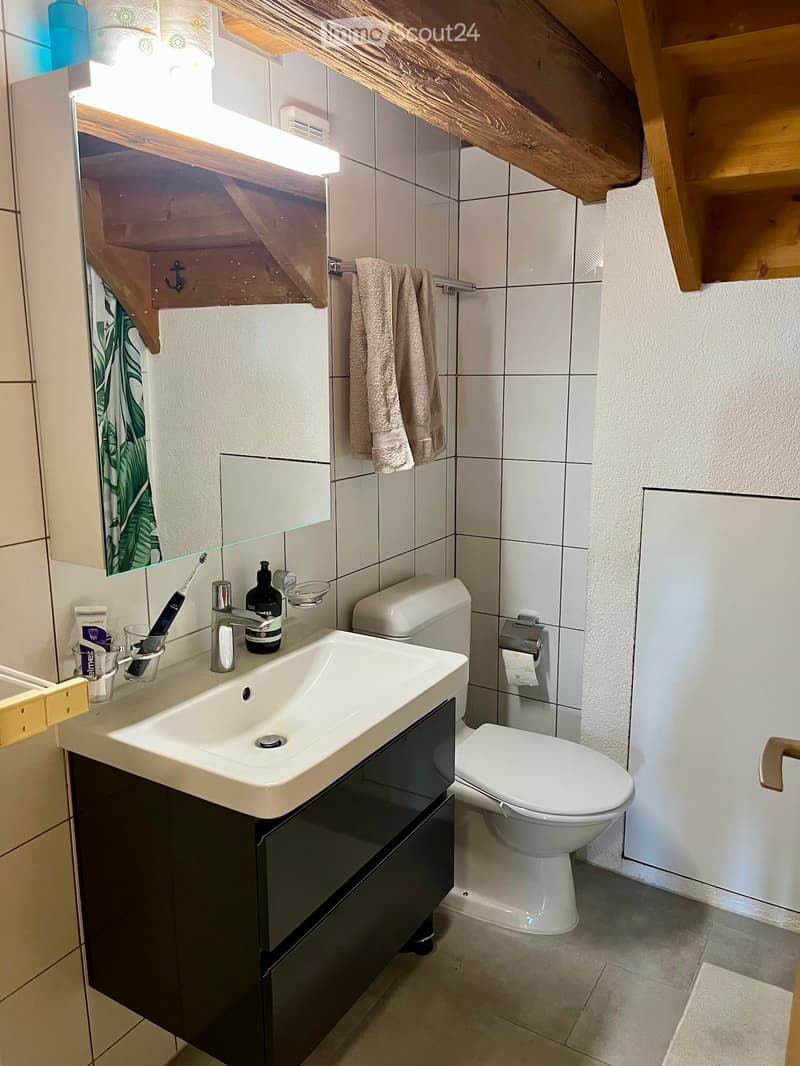 Apartment in Nidau (5)