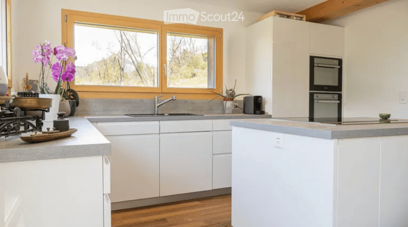 modern kitchen with white cabinets, gray countertops, stainless steel sink, faucet, large window, built-in oven and stove, coffee maker, plants