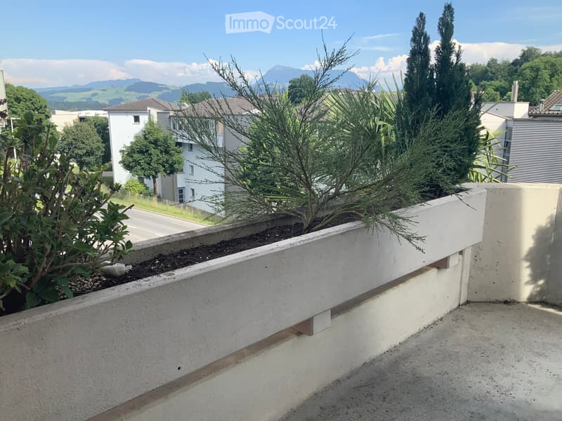 Balcony with concrete planter, small plants, and a view of a road and distant mountains.