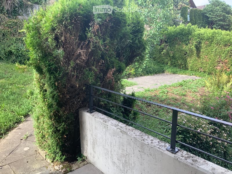 A raised garden area with a concrete platform, metal railing, and lush greenery including bushes and small plants.