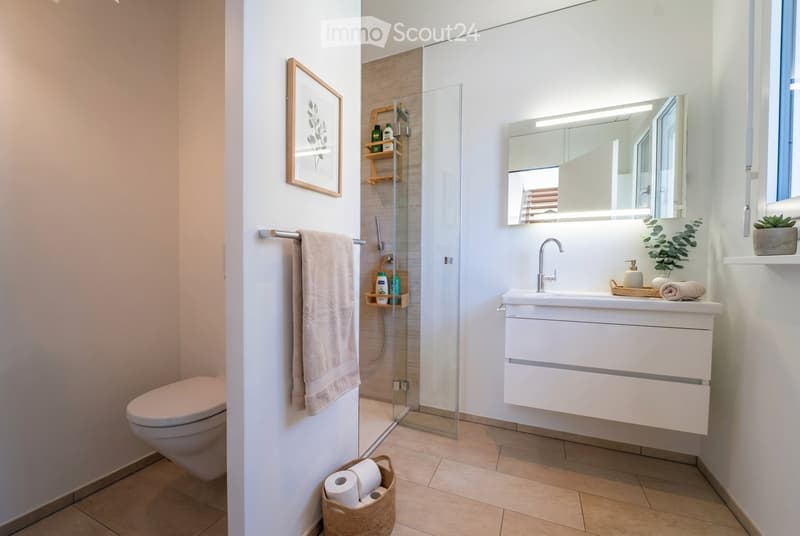 Modern bathroom with a white sink, mirror, toilet, and a glass-enclosed shower. Features include a towel rack, a framed picture, and a small plant on the windowsill.