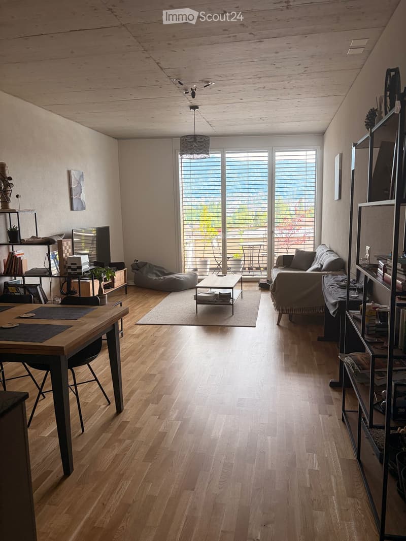 Helles 3.5-Zimmer-Apartment mit Balkon und Uetliberg-Blick, Zürich 8048 (2)