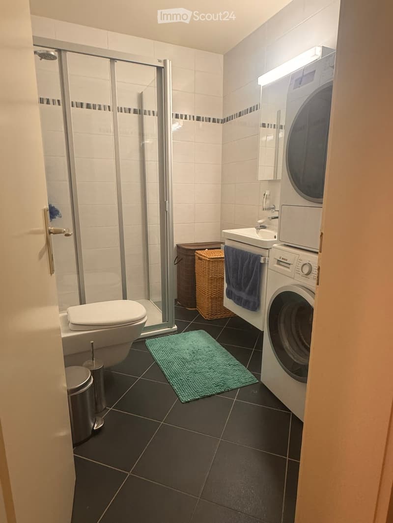 Modern bathroom with a toilet, shower, sink, and washing machine. Features a wicker basket, towel, and bath mat.