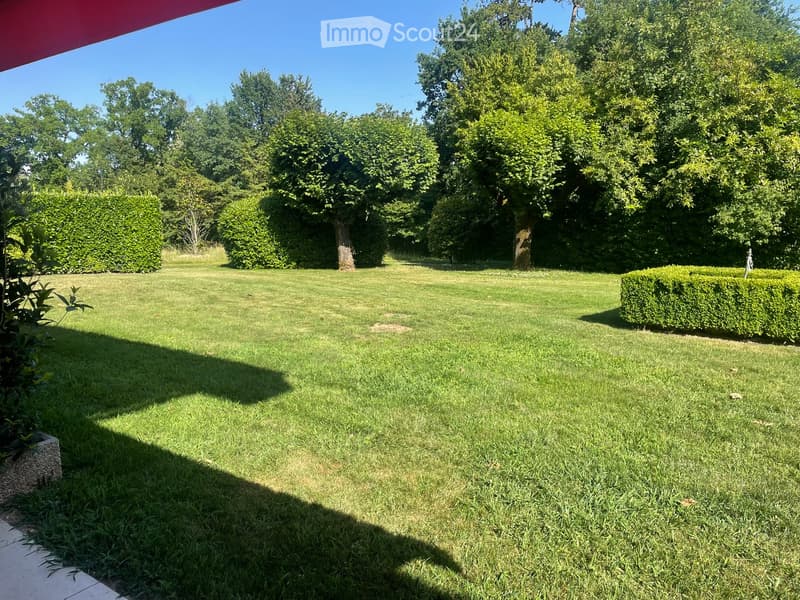 Well-maintained lawn with trimmed hedges, trees, and a clear blue sky in the background.