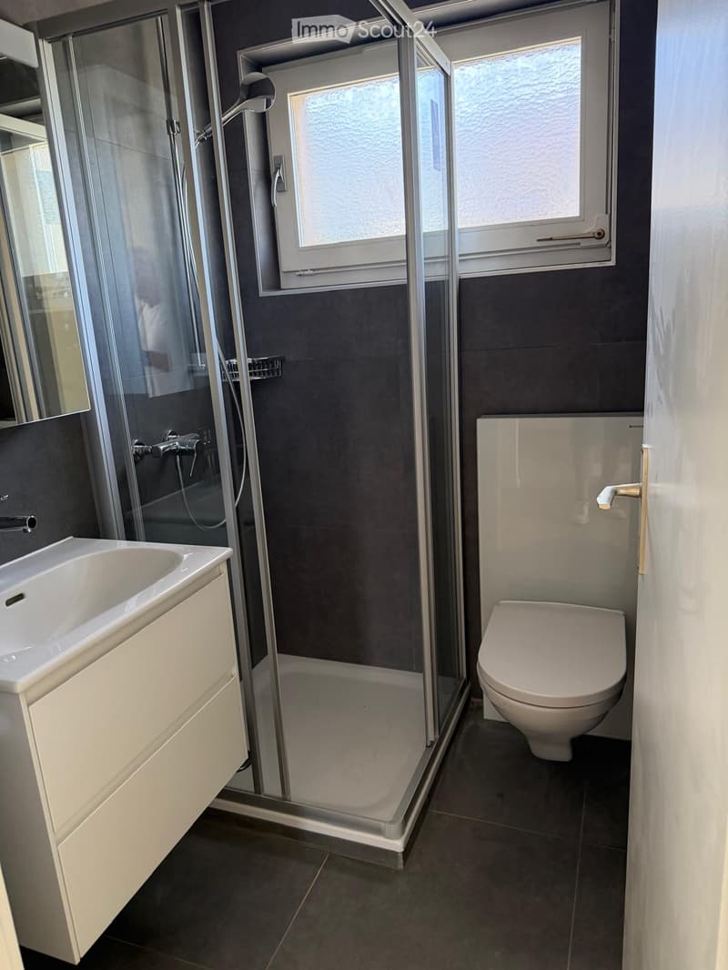 Modern bathroom with a white sink, toilet, and glass-enclosed shower. Dark grey tiles on walls and floor, with a window above the shower.