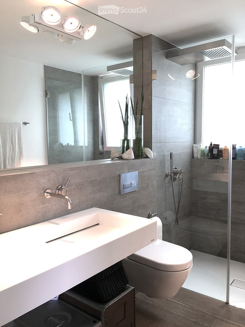 Modern bathroom with a large sink, sleek faucet, toilet, glass shower enclosure, and decorative items on the counter including a vase with plants and stones.