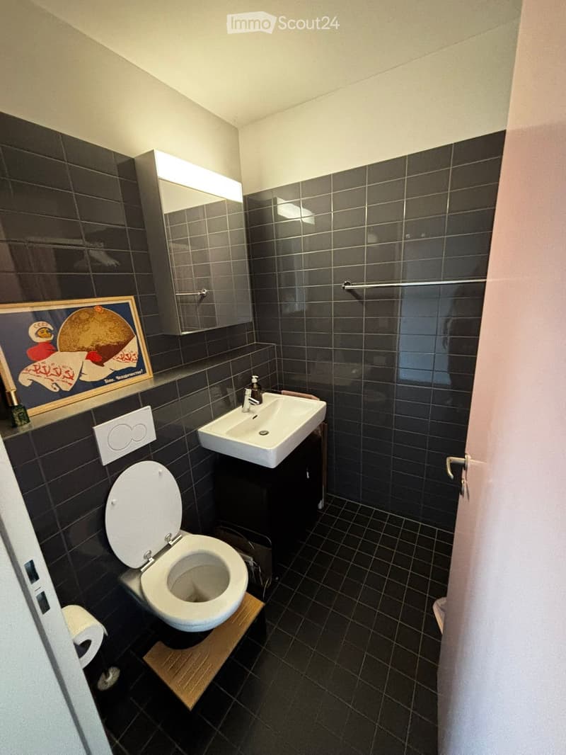 Modern bathroom with dark tiled walls and floor, white toilet, sink, and mirror. Includes a towel rack and a framed picture on the wall.