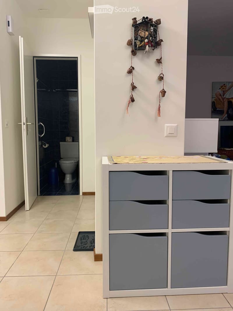 Hallway with beige tiled floor, white walls, a small cabinet with drawers, a decorative wall hanging, and an open door leading to a bathroom with a toilet and shower area.