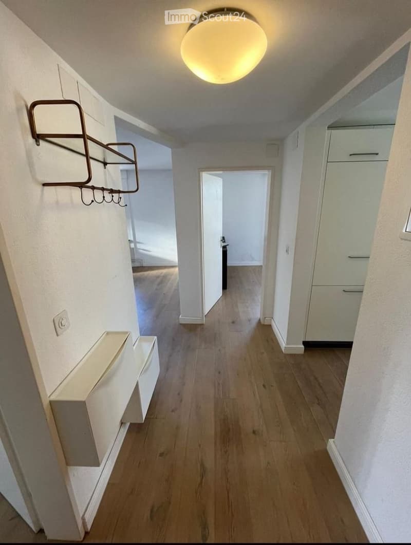 A narrow hallway with wooden flooring, white walls, and built-in storage units. A coat rack is mounted on the left wall, and a round ceiling light illuminates the space.