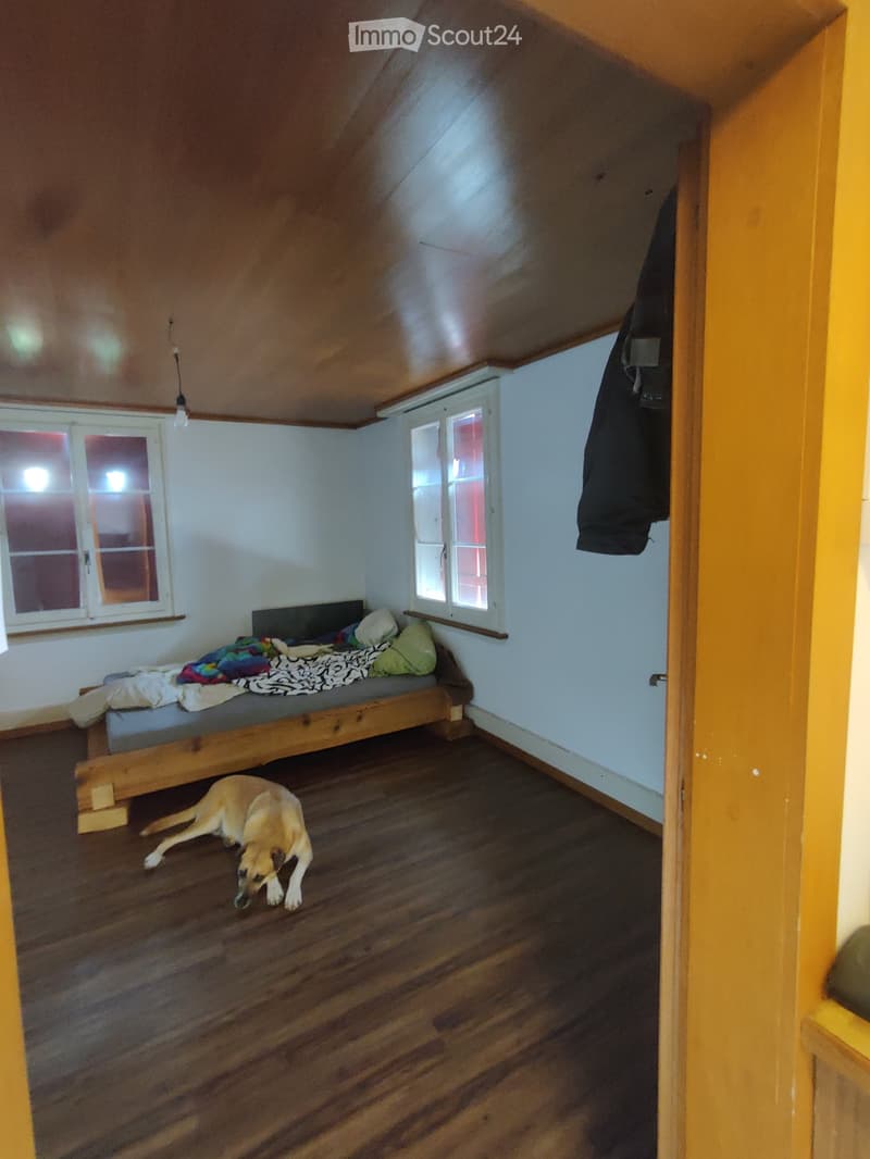 Cozy attic bedroom with wooden slanted ceiling, wooden floor, single bed with pillows and blankets, and a dog lying on the floor.