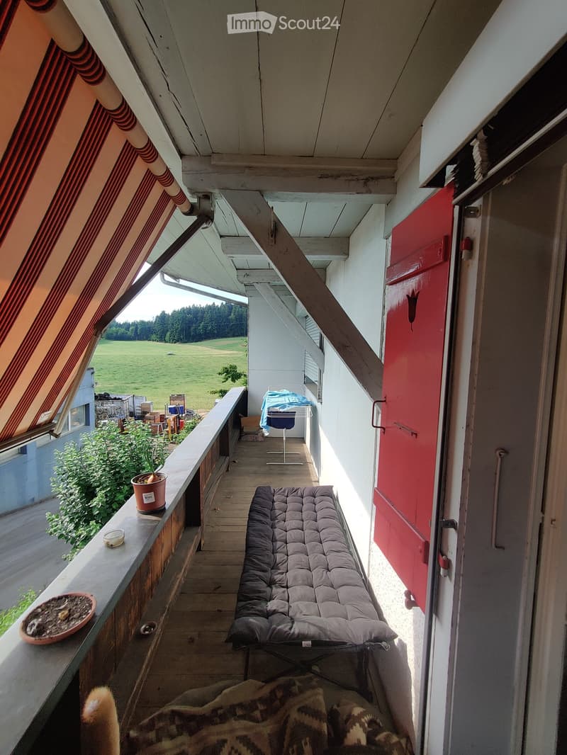 Balcony with wooden floor, grey sofa, small table, chair, and potted plants, overlooking a green field.