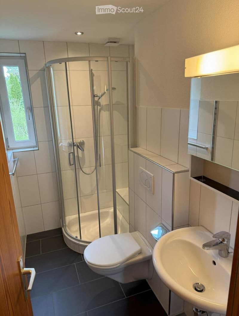 Modern bathroom with a glass-enclosed shower stall, toilet, sink with faucet, and a mirrored cabinet above the sink.
