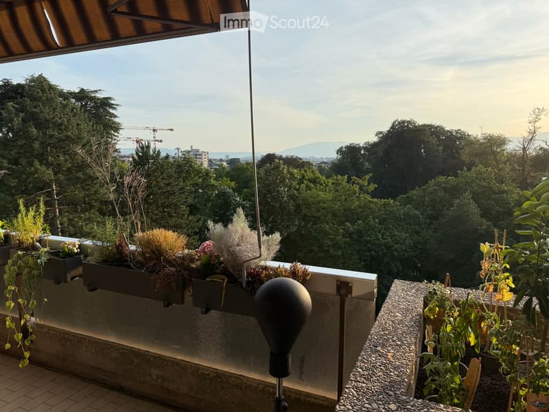 Apartment in Genève (3)