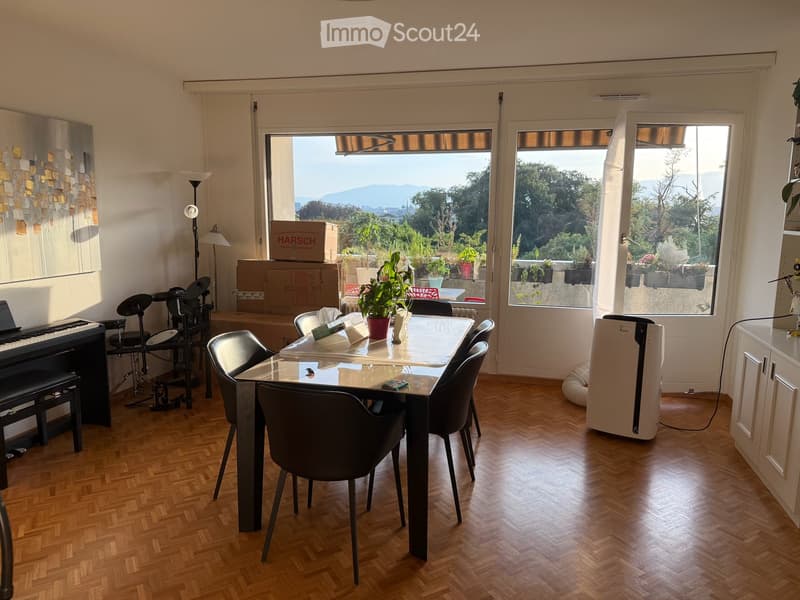 Apartment in Genève (2)