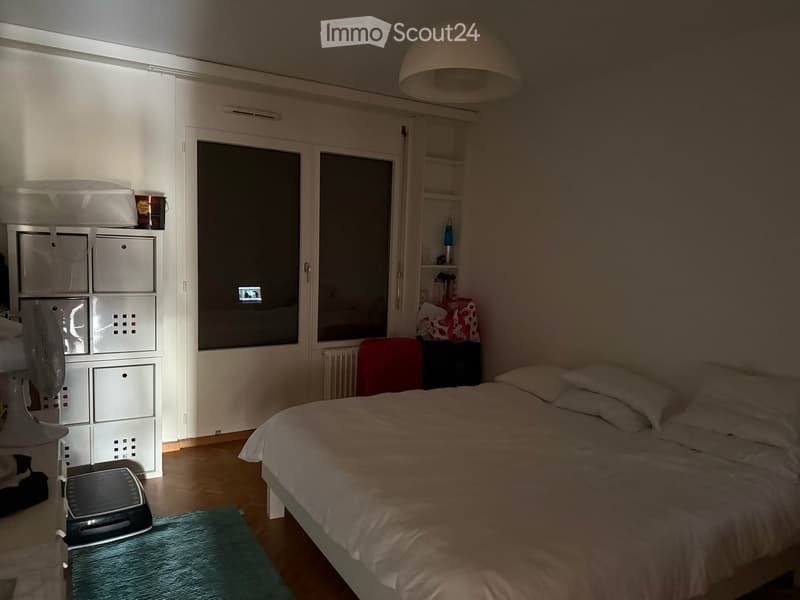 Apartment in Genève (4)