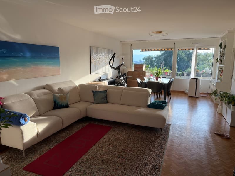 Apartment in Genève (1)