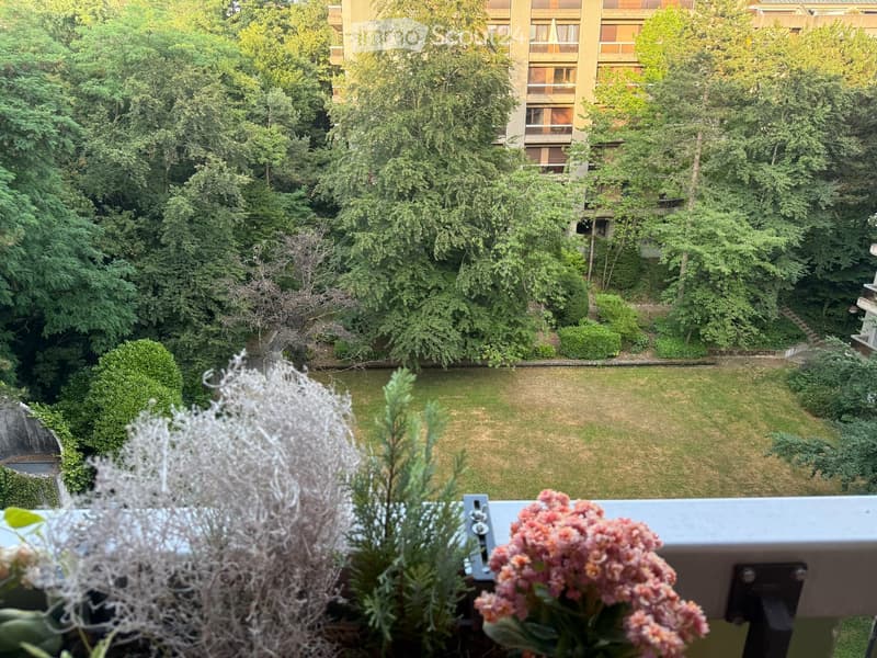 Apartment in Genève (5)