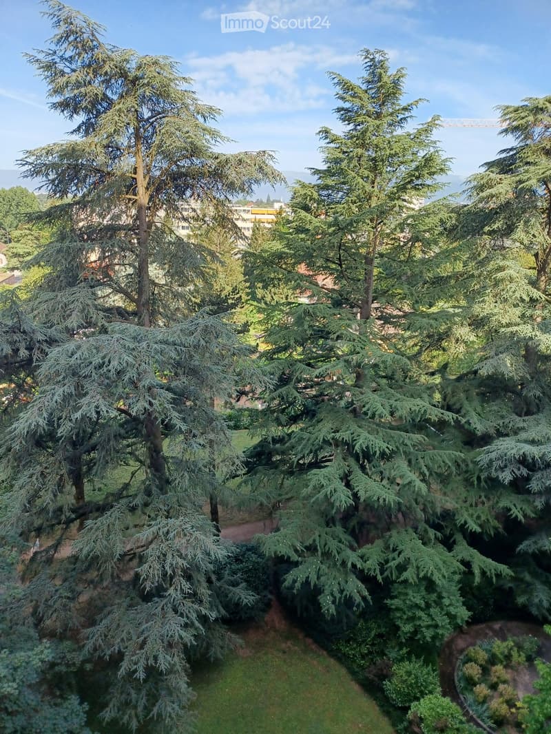 A lush garden area with tall, coniferous trees and a well-maintained lawn, with a pathway winding through the greenery.