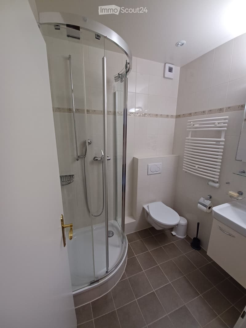 Modern bathroom with a bathtub, toilet, sink, and a radiator. Features a glass-enclosed shower area with a handheld showerhead and a built-in seat.