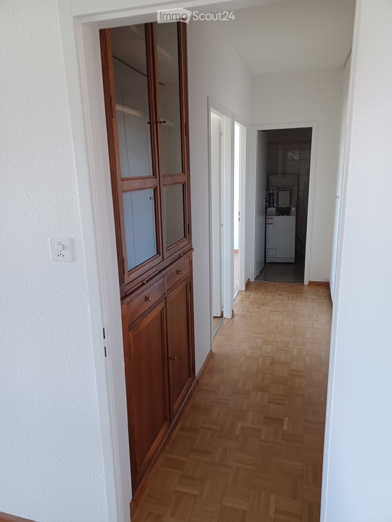 A narrow hallway with wooden herringbone flooring, white walls, and a built-in wooden cabinet with glass doors on the left side. A doorway leads to a room with a washing machine visible in the background.