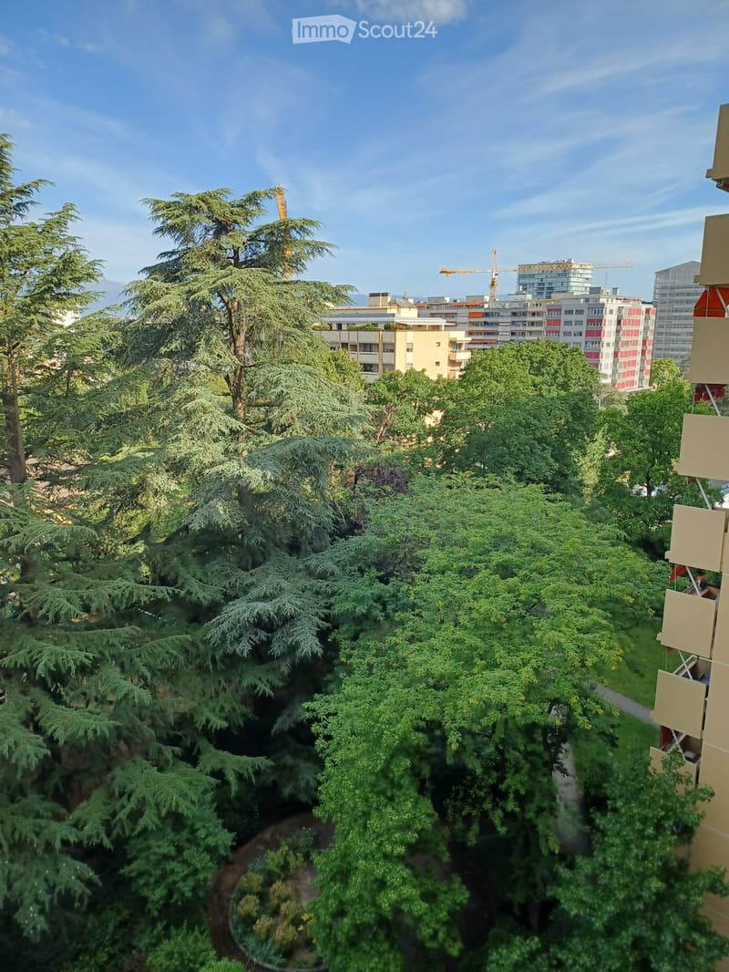 A lush green garden with tall trees and a pathway, with apartment buildings and a construction crane visible in the background.