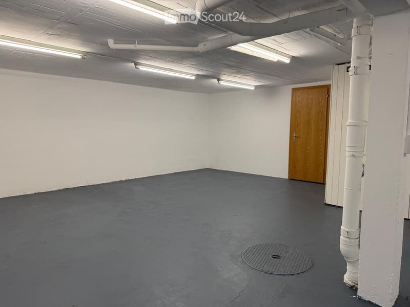 Empty basement space with concrete floor, white walls, exposed pipes, and a wooden door.