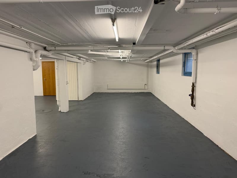 Empty basement space with concrete floor, white walls, exposed pipes, and a wooden door.