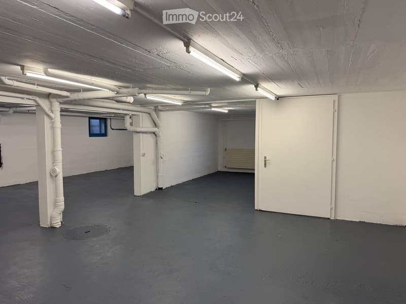 Empty basement space with concrete floor, white walls, exposed pipes, and a single door leading to another area.