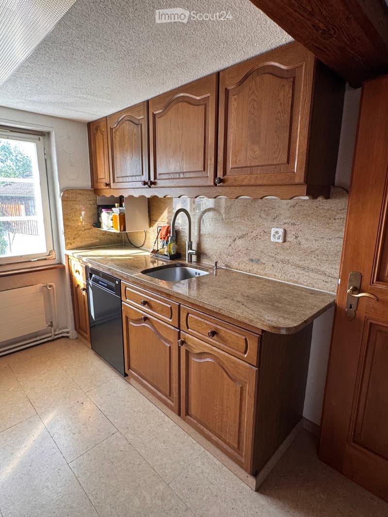 Modern kitchen with wooden cabinets, granite countertop, stainless steel sink, and dishwasher. Natural light from a window on the left.