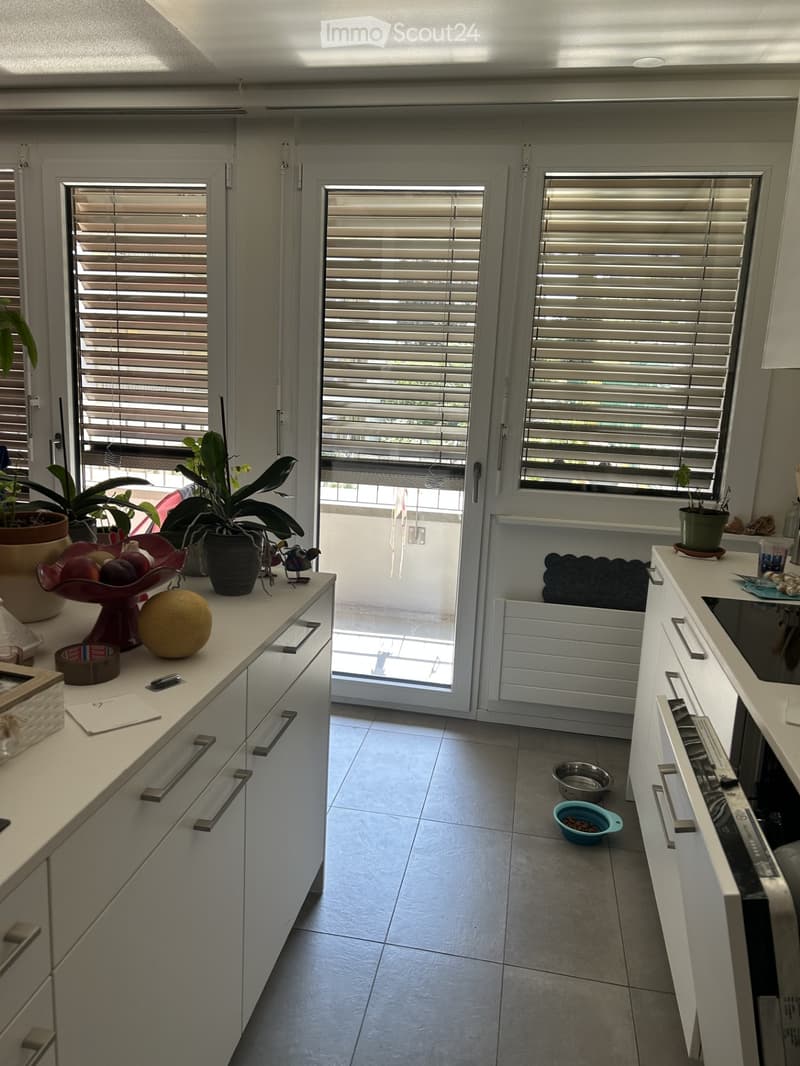 Modern kitchen with white cabinets, tiled floor, and large windows with blinds. Countertop has a bowl of fruit, a plant, and a pet bowl on the floor.