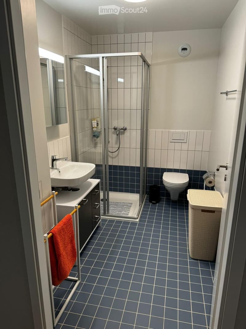 Modern bathroom with blue tiled floor, white walls, a shower stall with glass enclosure, a sink with a mirror, a toilet, and a woven trash bin.