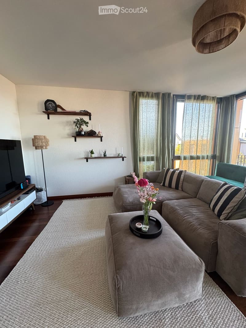 Modern living room with a grey sectional sofa, coffee table with a flower vase, floor lamp, TV stand, and decorative shelves with plants and a clock.