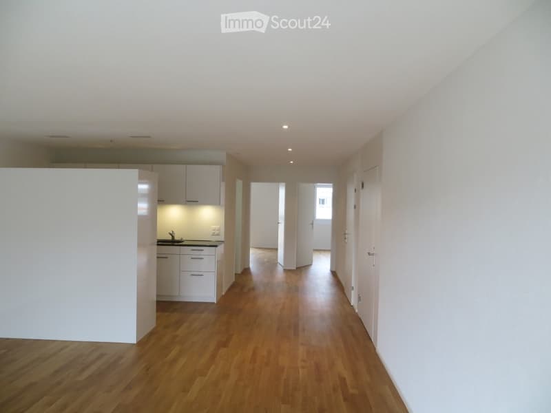 Empty hallway with wooden flooring, white walls, and white cabinetry in the background. No furniture or equipment is present.