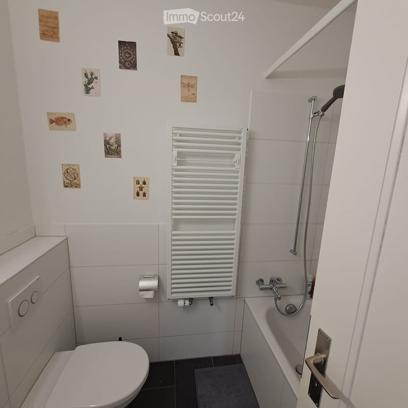 Modern bathroom with white tiles, a toilet, a bathtub with a handheld shower, a radiator, and a small cabinet with two drawers.