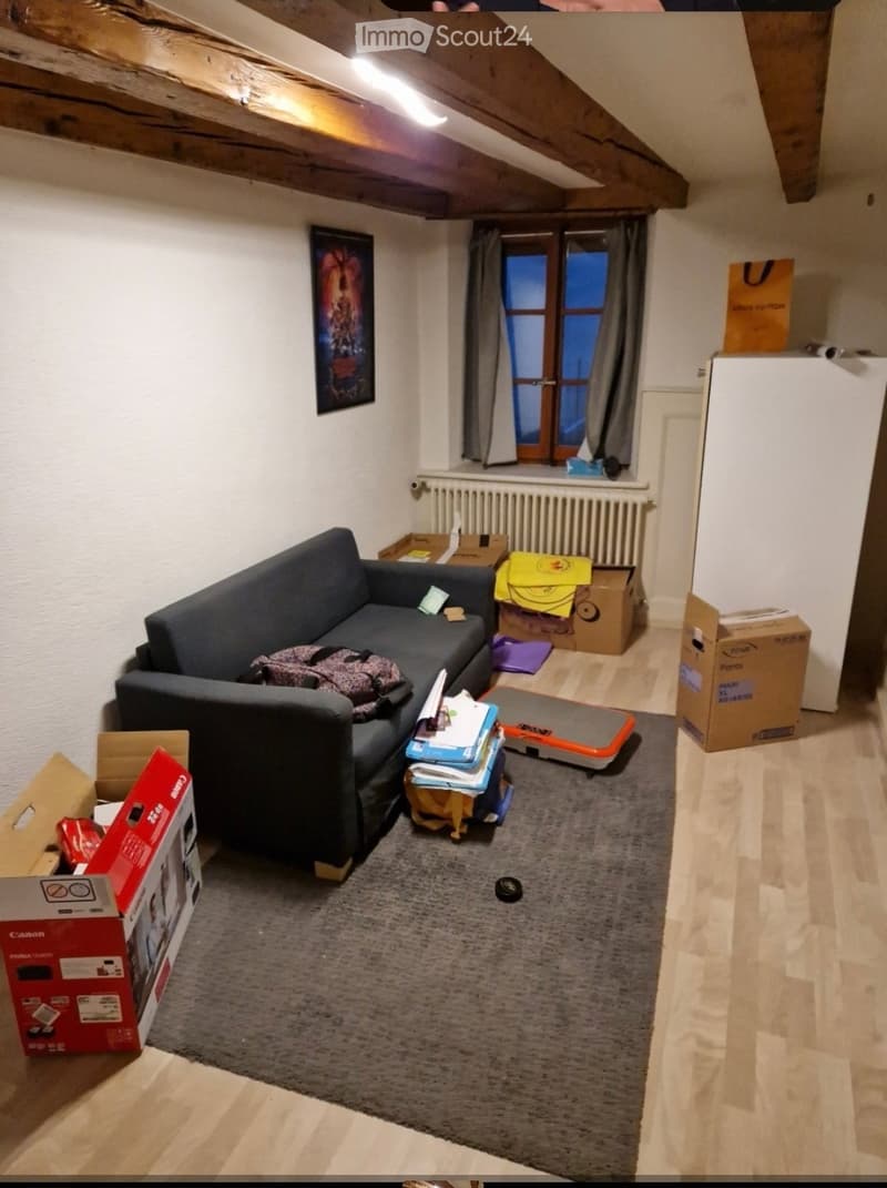 Living room with a dark grey sofa, a grey rug, a radiator, a picture frame on the wall, a refrigerator, and several boxes scattered around.