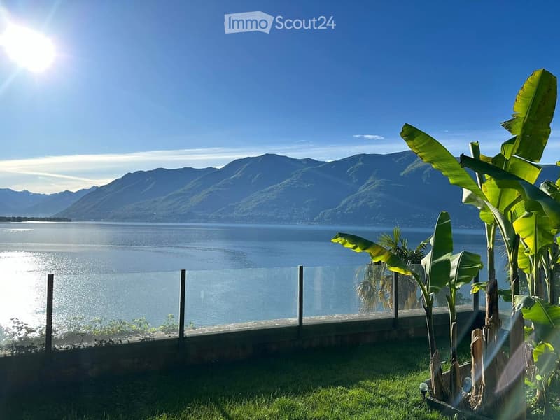 Lakefront view with mountains, clear blue sky, green grass, and banana trees.