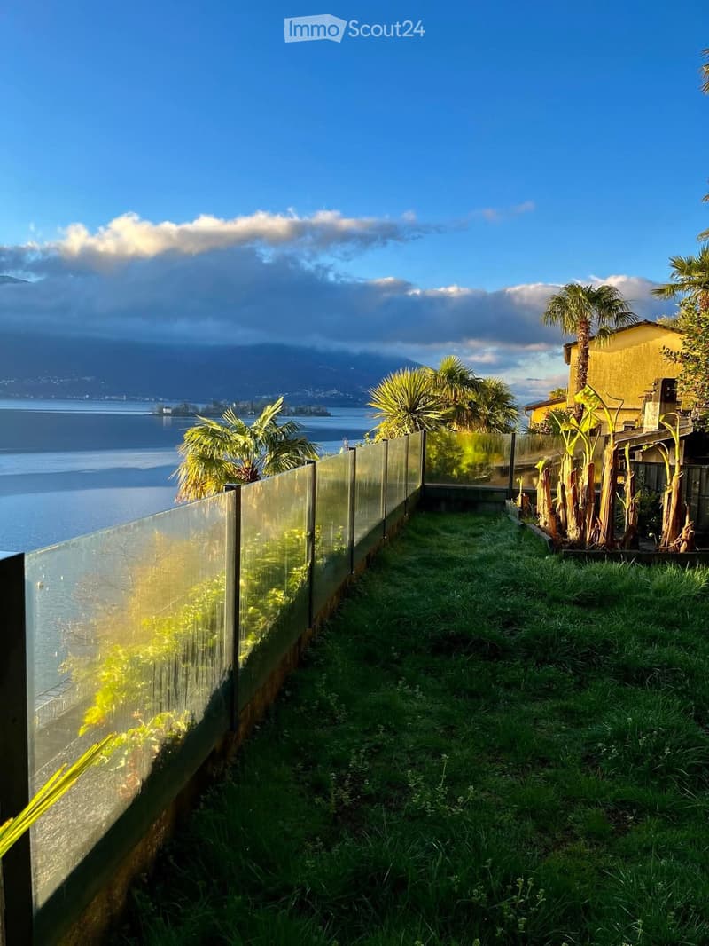 Lakefront garden with glass fence, lush grass, tropical plants, and mountains in the distance.
