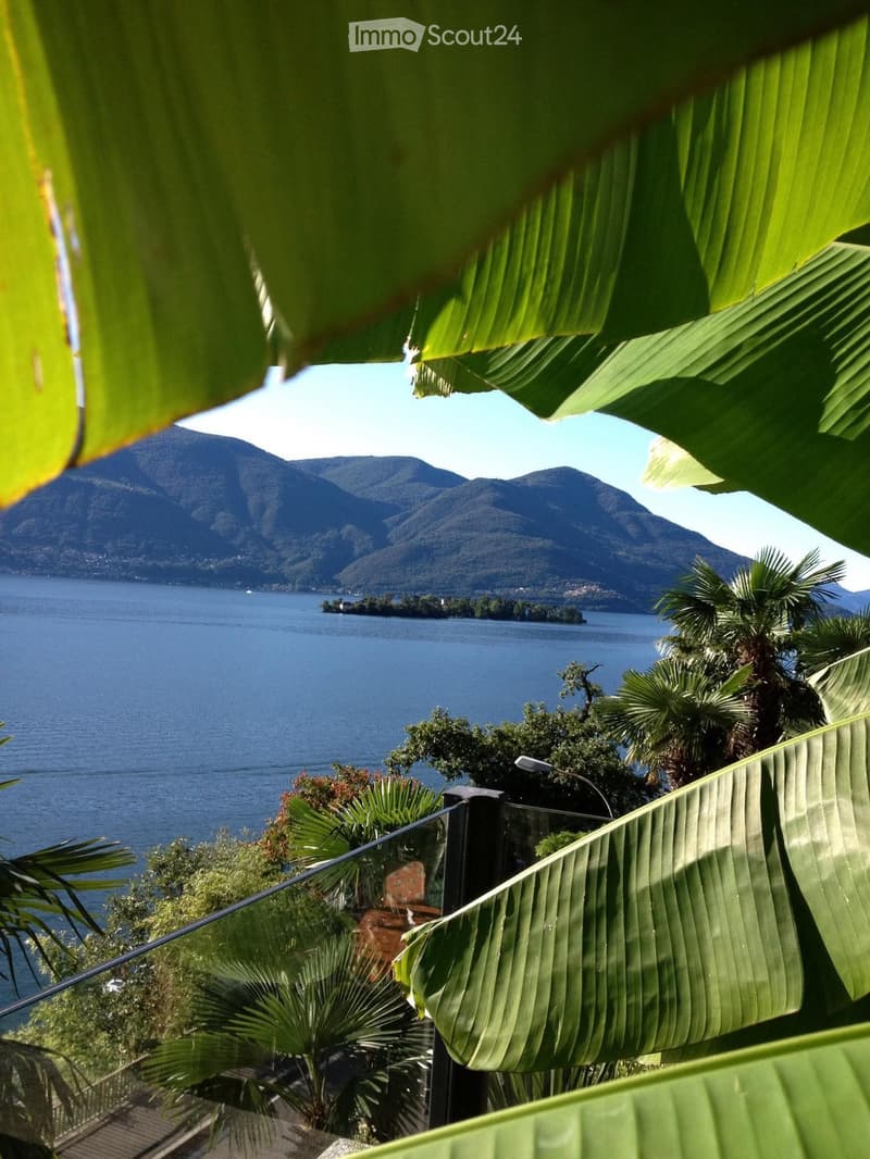 Glass balcony, panoramic view of the lake, mountains in the distance, lush green vegetation