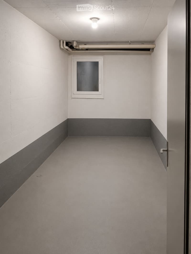 Empty hallway with white walls, grey floor, and a small window with a frosted glass pane. The ceiling has a single light fixture and visible pipes.