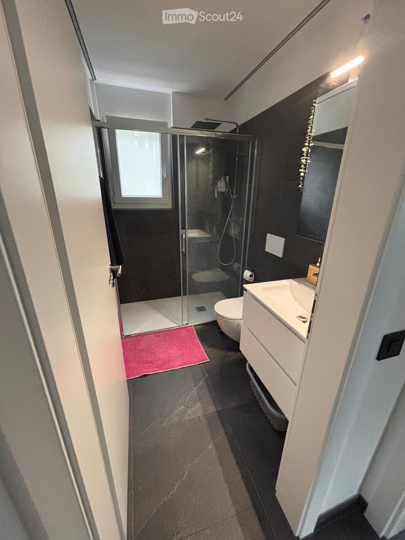 Modern bathroom with a glass-enclosed shower, white sink, toilet, and dark tiled walls.