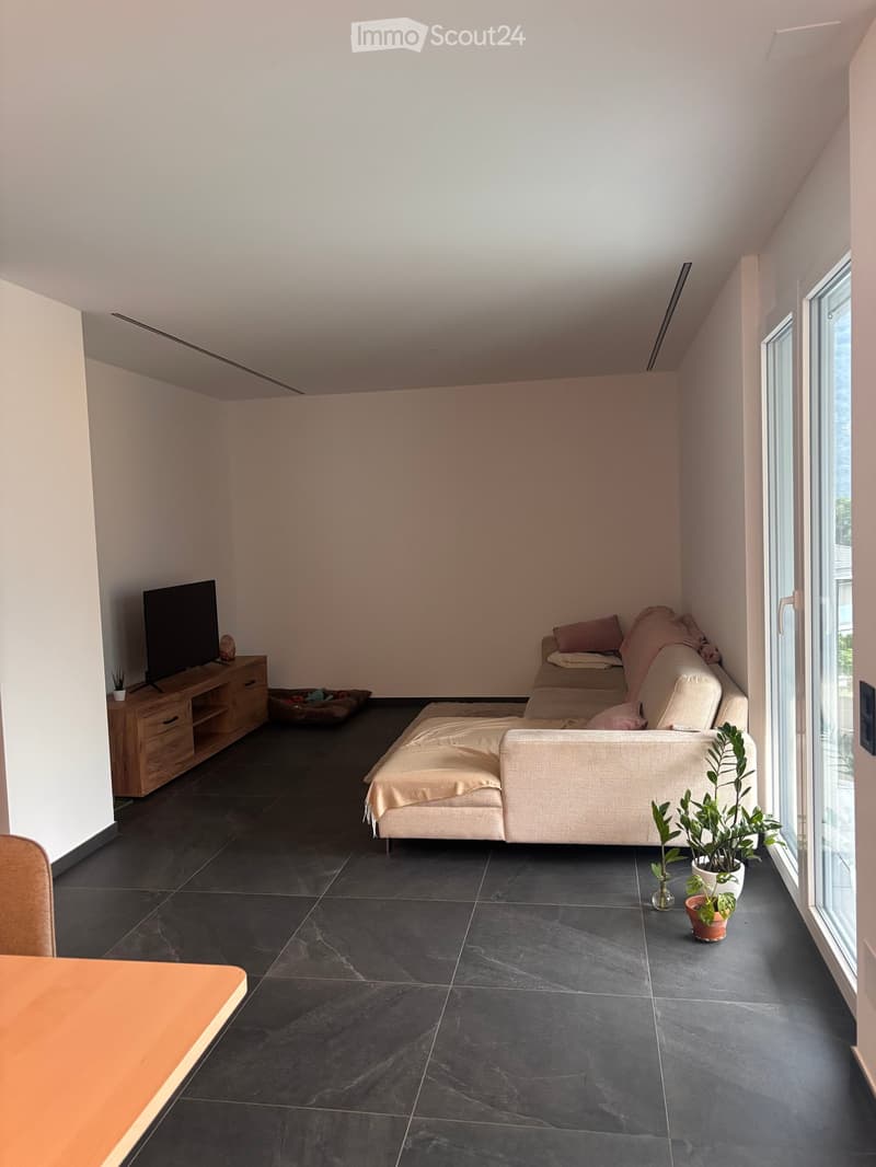 Modern living room with dark tiled floor, light-colored sofa, wooden TV stand, and potted plants near large windows.