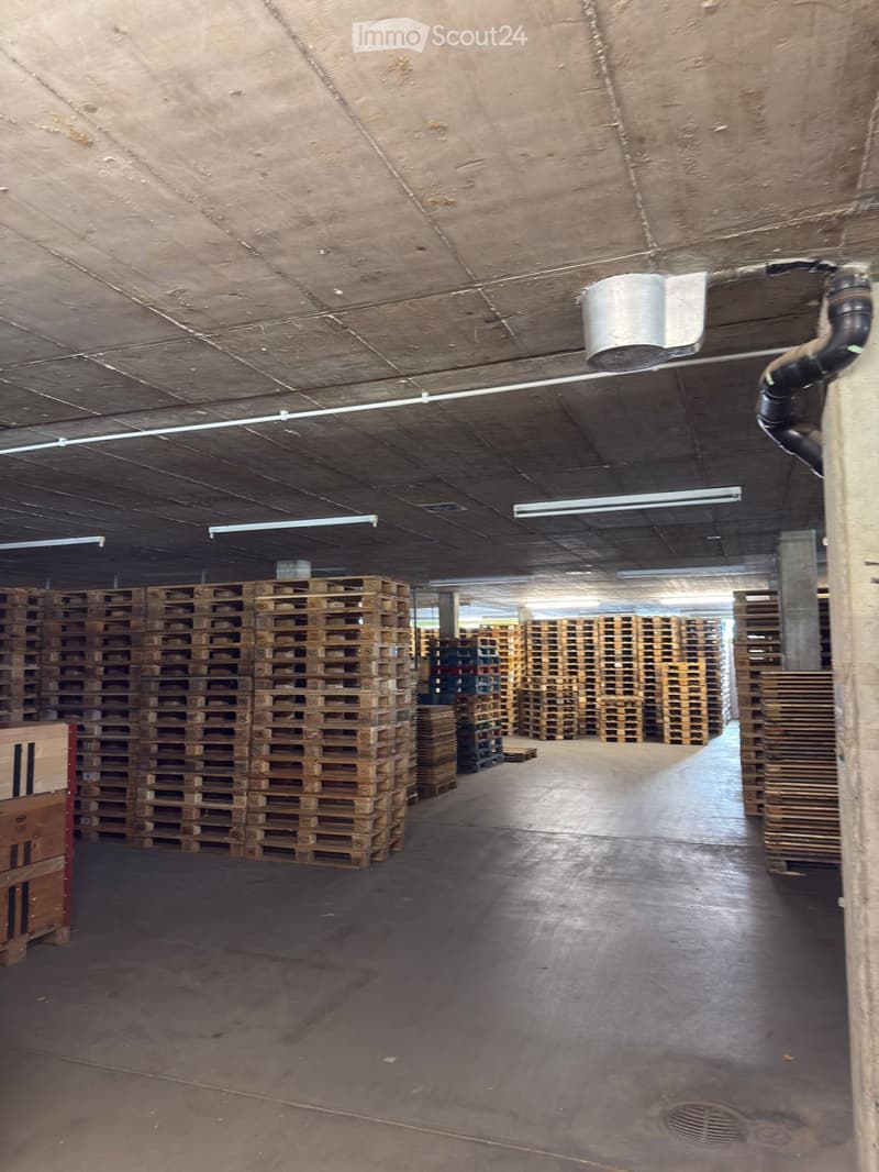 Warehouse with high ceilings, concrete floor, stacks of wooden pallets, large space for storage.