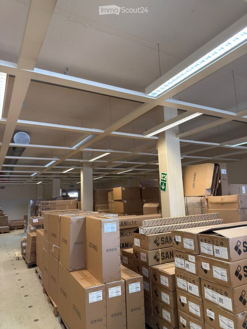 Warehouse with many boxes on pallets, white ceiling with multiple rows of lights, a few open doors