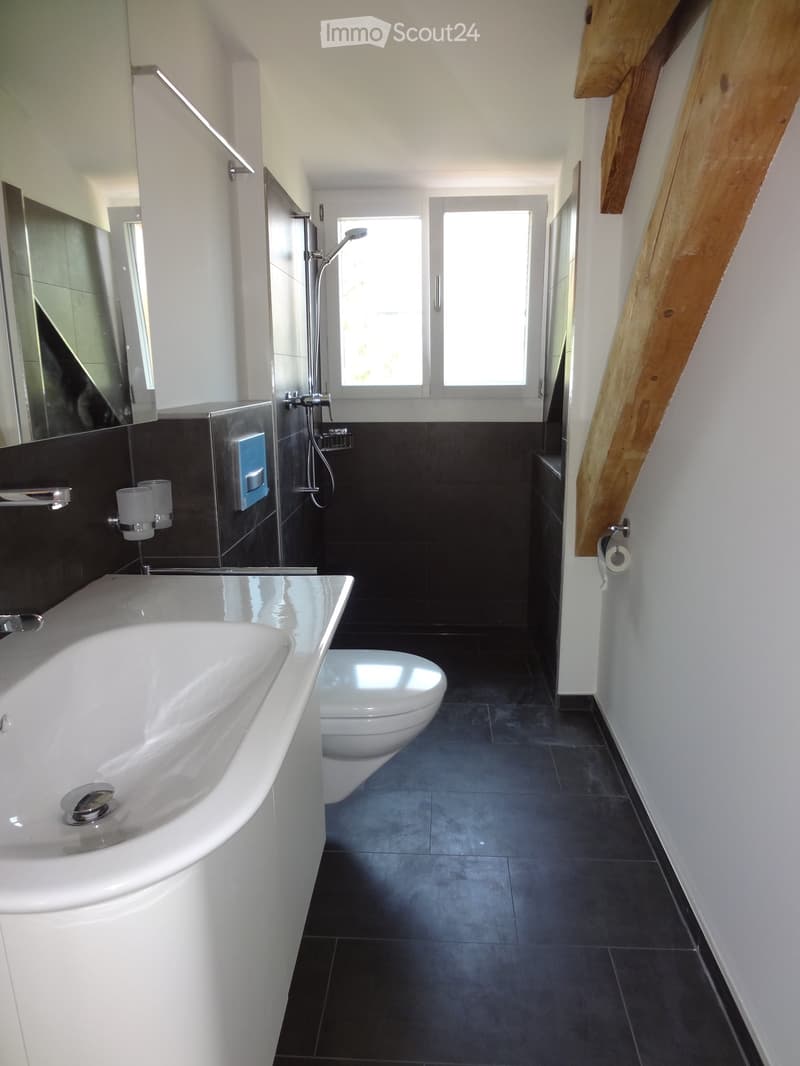 Modern bathroom with a white sink, toilet, and shower area. Dark tiled walls and floor, large window providing natural light, and a mirror above the sink.