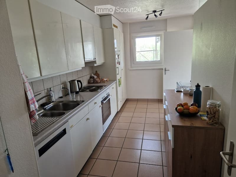 {"type": "Kitchen", "objects": ["sink", "faucet", "oven", "cabinets", "countertop", "bowl", "jar", "bottle", "fridge", "cup", "faucet", "oven", "oven", "oven", "oven", "oven", "oven", "oven", "oven", "oven", "oven", "oven", "oven", "oven", "oven", "oven",