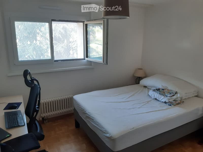 A tidy bedroom with a single bed, desk, chair, laptop, keyboard, mouse, and a lamp. The room has wooden flooring and large windows letting in natural light.